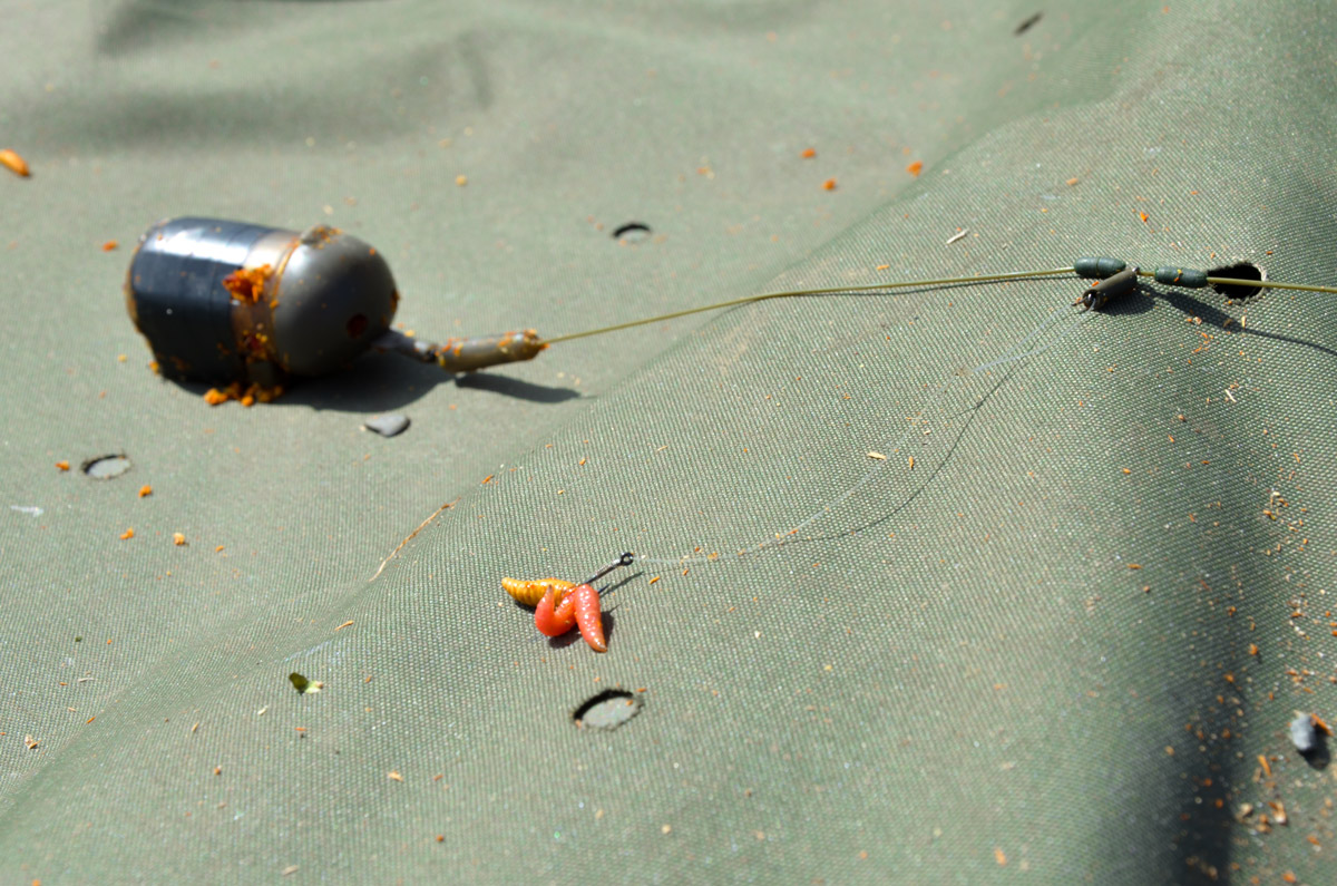 Early Season Tench Fishing Off The Scale Magazine