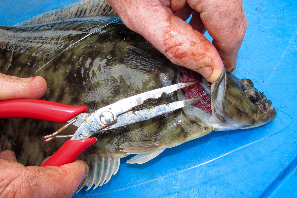 Flounder fishing in estuaries - Off the Scale magazine